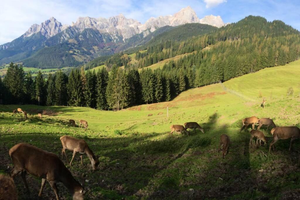 Sunny Apartment Maria Alm Екстериор снимка